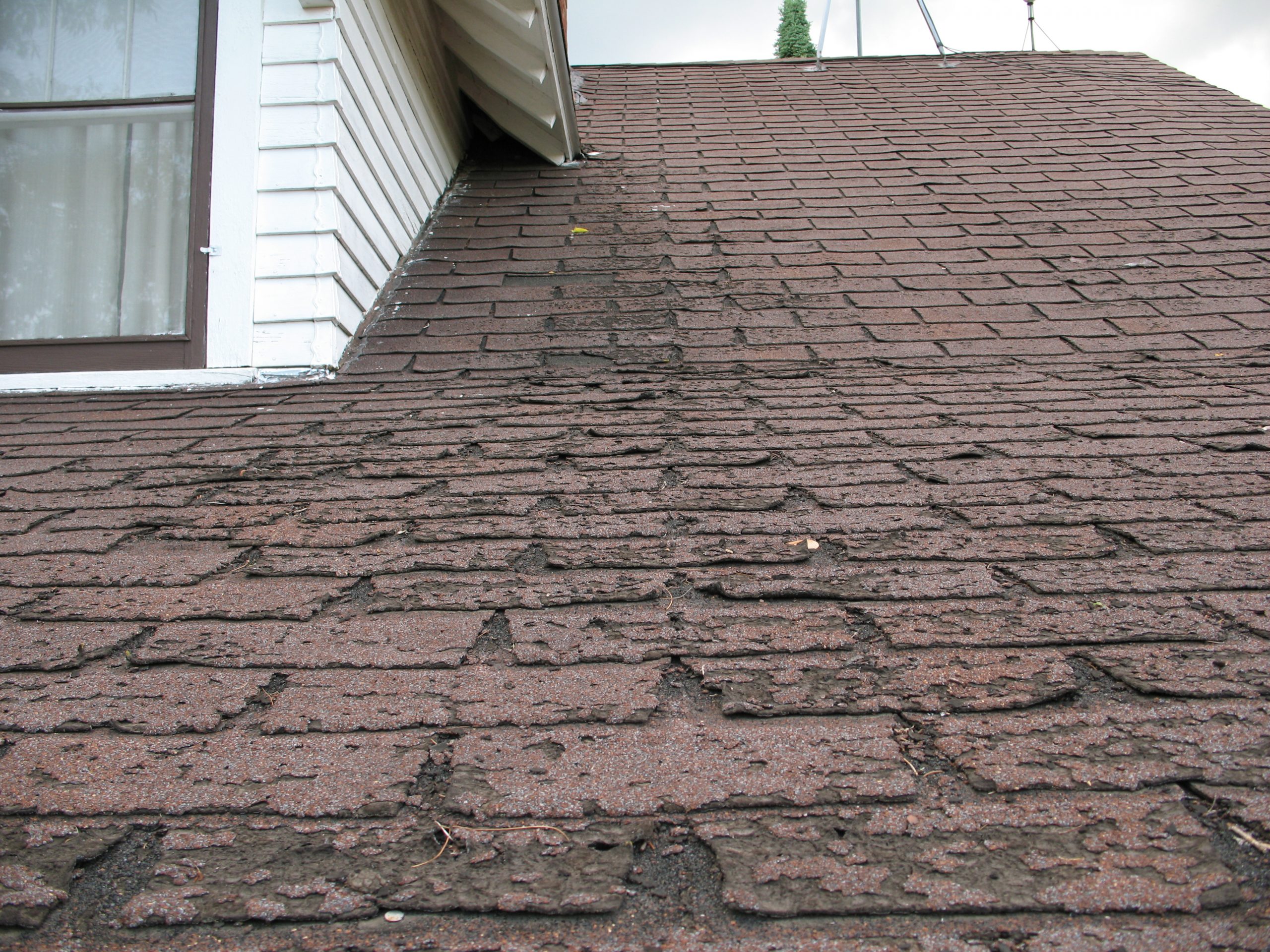 discolored and worn roof shingles