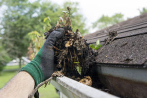 Professional Gutter Cleaning